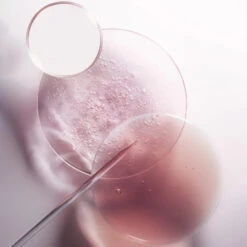 Bain Cheveux Fins à Normaux Chroma Absolu Kérastase 250ML -Soins Capillaires Boutique bain cheveux fins a normaux chroma absolu kerastase 250ml 6