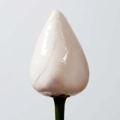 Huile Nourrissante Sailor Moon Essence Absolue Shu Uemura 150ML -Soins Capillaires Boutique huile essence absolue shu uemura 150ml 3