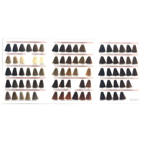 Nuancier Gyptis Fauvert Professionnel 2 Nuancier Gyptis Fauvert Professionnel – Image 2