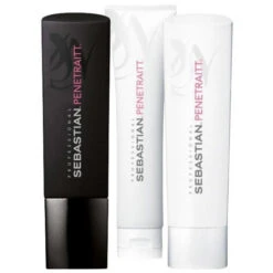 Pack Cheveux Abîmés Penetraitt Sebastian Professional