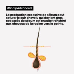 Shampooing Purifiant Cheveux Gras Scalp Advanced L'Oréal Professionnel 500ML -Soins Capillaires Boutique shampooing purifiant cheveux gras scalp advanced l oreal professionnel 500ml 4